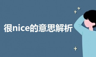 很nice的意思是什么 很nice的意思解析