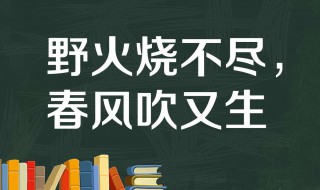 野火烧不尽春风吹又生是哪首古诗 赋得古原草送别原文及译文