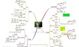 数学八种思维方法 数学八种思维方法是哪些