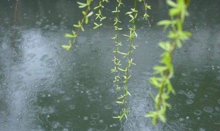 细雨绵绵的唯美句子 细雨绵绵的唯美句子心情说说