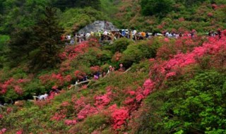 武汉十大旅游景点排名 武汉十大旅游景点介绍