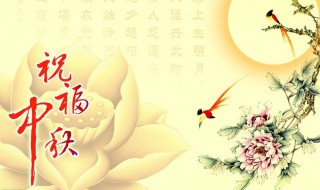 女朋友中秋祝福说说 需要怎么表达出自己的真情