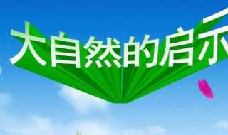 来自大自然的启示作文800字 来自大自然的启示作文800字范文