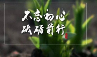 砥砺前行的句子 砥砺前行的句子有什么