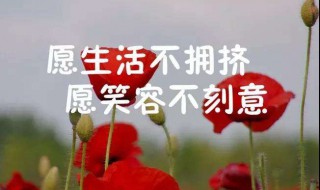 最经典的人生格言 句句经典的人生格言