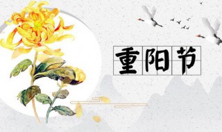 九九重阳节祝福短语 九九重阳节祝福短语有哪些