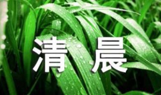 清晨的句子 描写清晨景色的句子