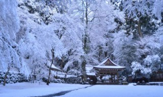 下雪适合发的朋友圈 适合下雪发朋友圈的文