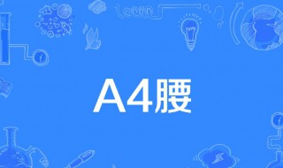 a4腰是什么意思 什么是a4腰