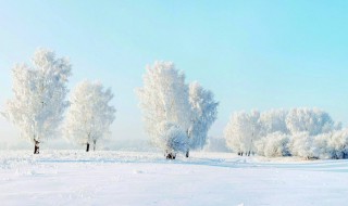 冬天的雪作文 关于冬天的雪作文范文