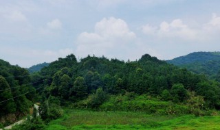 山里空气清新的句子 山里空气清新的句子集锦