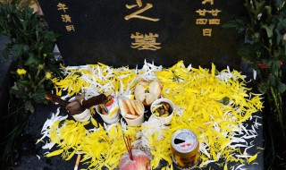 清明节扫墓祭祖有哪些禁忌 清明节扫墓祭祖必不可知的禁忌和注意事项