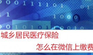 广西城乡居民医疗保险微信怎么交 广西城乡居民医疗保险微信支付方法