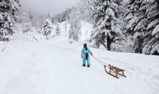 形容雪花味道的句子 有什么关于雪花的句子