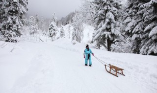 描写雪景的超唯美句子 优美的写雪的句子范例