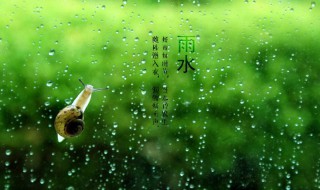 雨水节气应该吃什么 简介雨水节气应该吃什么