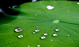 梅雨季节家里潮湿怎么办 梅雨季节家里潮湿解决方法