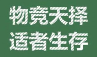 物竞天择适者生存是谁说的 物竞天择是什么意思