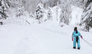 滑雪倒滑刹车技巧 滑雪刹车的3个技巧