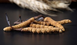 虫草白芨粥 虫草白芨粥的烹饪方法