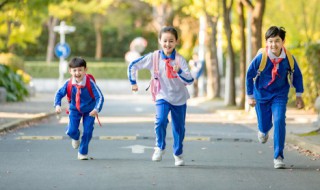 小学生交通安全标语 小学生交通有哪些安全标语