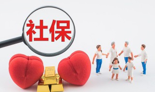 五险一金怎么查询 五险一金查询的方法