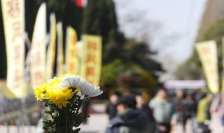 清明节祭祀 清明节祭祀介绍