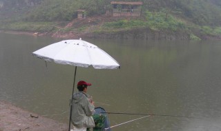 立夏雨天怎么钓鱼 立夏雨天钓鱼的方法