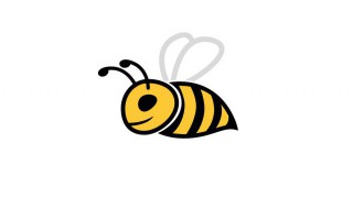 蜜蜂生活方式与特点 蜜蜂生活方式与特点是什么