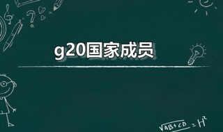 g20国家成员 g20是什么组织