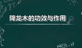 降龙木的功效与作用 佩戴降龙木可以治病吗