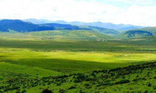 松潘草地多大面积 松潘草地的面积是怎样的