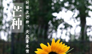 雨量充沛的节气 雨量充沛的节气是哪个