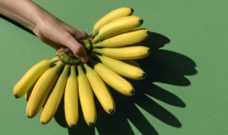 香蕉怎么种 香蕉的种植方法