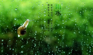 雨水节气吃什么传统食物 雨水节气吃的食物介绍