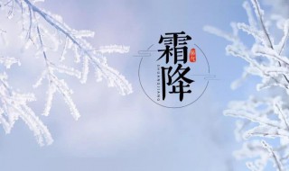 霜降节气的风俗食物 霜降节气吃的食物介绍