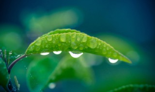 梅雨季节2021什么时间入梅 梅雨季节是什么时候