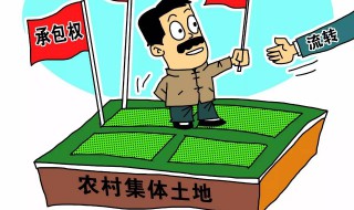 城镇居民能否继承农村宅基地 城镇居民可以继承农村宅基地吗