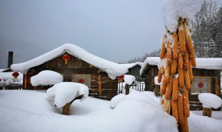 说瑞雪兆丰年的原因 瑞雪兆丰年的传说是怎样的