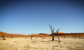 沙漠地区人口稀少的原因 人口稀少原因介绍