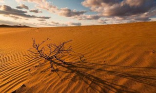 荒漠化和沙漠化的区别 荒漠化和沙漠化有什么区别呢