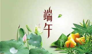 端午节祝福对老师 端午节对老师的祝福语简单介绍