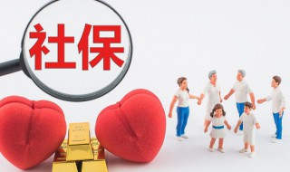 社保个人怎么买 社保个人如何买