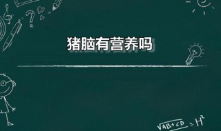 猪脑有营养吗 猪脑的食疗价值有哪些