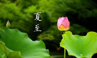 夏至是什么季节 夏至是什么季节意思