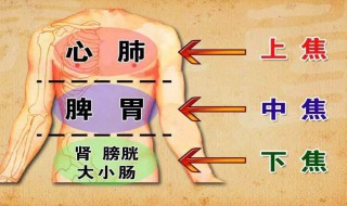 五脏六腑是什么意思 五脏六腑出自何处