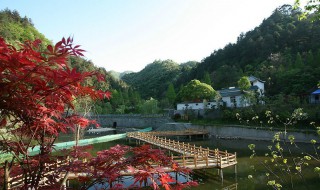 逍遥谷景点介绍 逍遥谷广东旅游景区简介