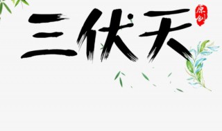 三伏天里去湿气最佳时机 三伏天去湿气