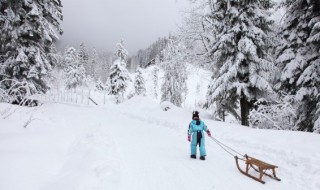 滑雪鞋硬度怎么看 怎么看滑雪鞋硬度