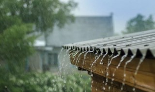 雨泽的寓意是什么 雨泽的寓意介绍